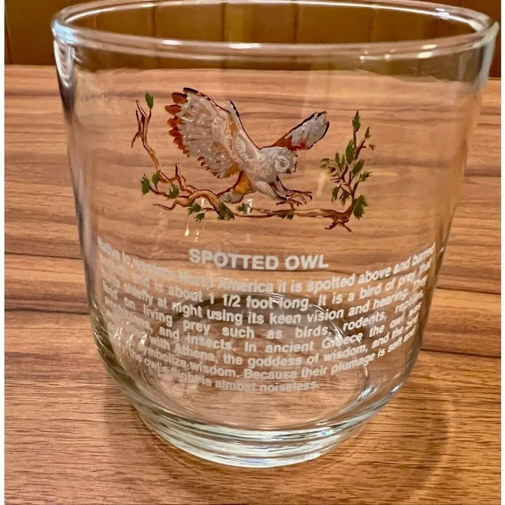 Vintage Sunoco North American Wildlife Glass Libbey Spotted Owl